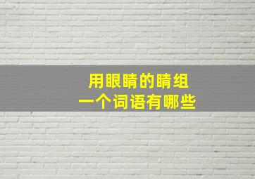 用眼睛的睛组一个词语有哪些