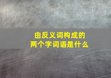 由反义词构成的两个字词语是什么