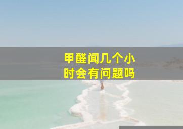 甲醛闻几个小时会有问题吗