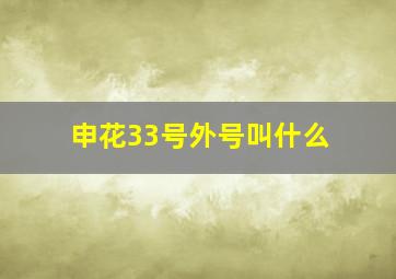 申花33号外号叫什么