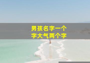 男孩名字一个字大气两个字