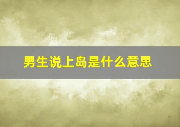 男生说上岛是什么意思