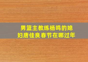 男篮主教练杨鸣的媳妇唐佳良春节在哪过年