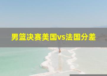 男篮决赛美国vs法国分差