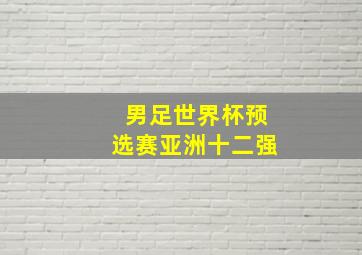 男足世界杯预选赛亚洲十二强