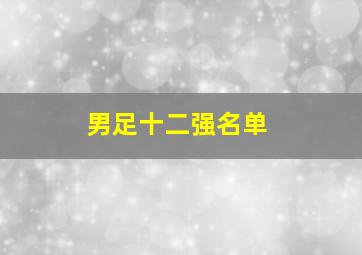 男足十二强名单