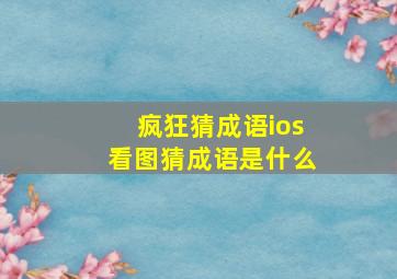 疯狂猜成语ios看图猜成语是什么