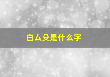 白厶殳是什么字