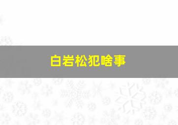 白岩松犯啥事