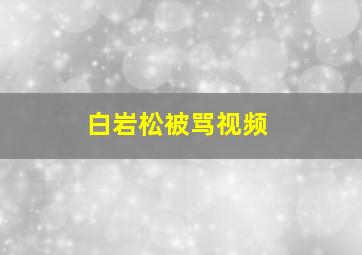 白岩松被骂视频