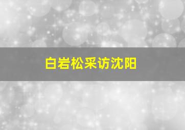 白岩松采访沈阳