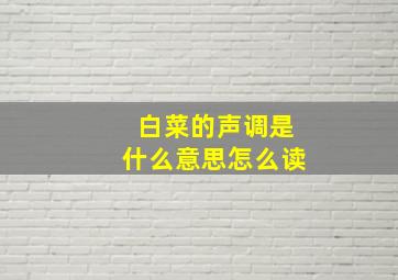 白菜的声调是什么意思怎么读