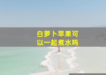 白萝卜苹果可以一起煮水吗