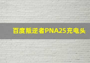 百度叛逆者PNA25充电头