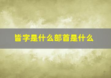 皆字是什么部首是什么