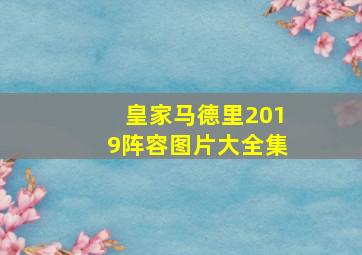 皇家马德里2019阵容图片大全集