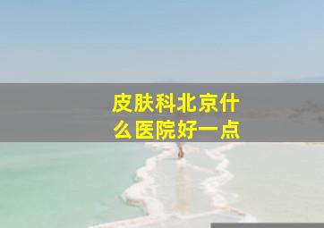 皮肤科北京什么医院好一点