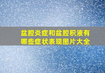 盆腔炎症和盆腔积液有哪些症状表现图片大全