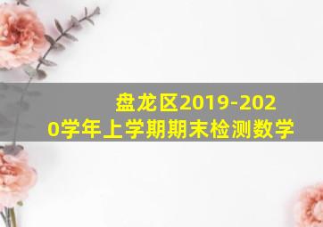 盘龙区2019-2020学年上学期期末检测数学