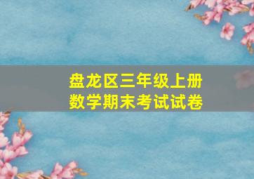 盘龙区三年级上册数学期末考试试卷