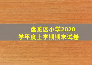 盘龙区小学2020学年度上学期期末试卷