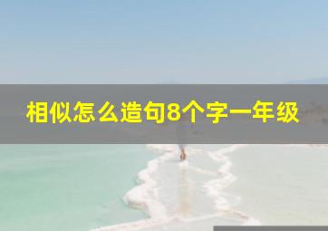 相似怎么造句8个字一年级