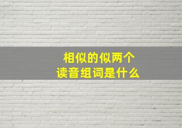 相似的似两个读音组词是什么