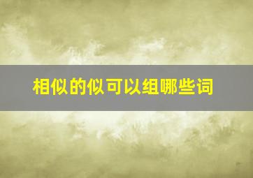 相似的似可以组哪些词