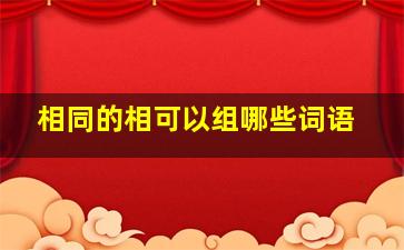 相同的相可以组哪些词语