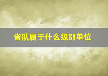 省队属于什么级别单位