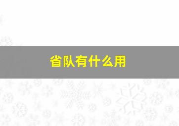 省队有什么用