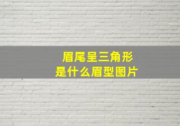 眉尾呈三角形是什么眉型图片