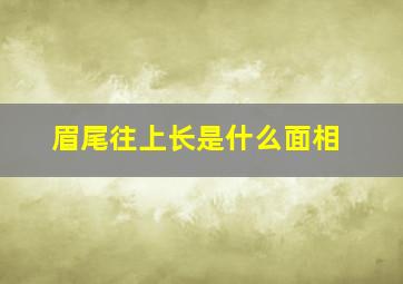 眉尾往上长是什么面相