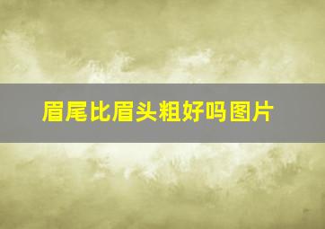 眉尾比眉头粗好吗图片