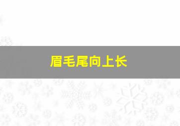 眉毛尾向上长