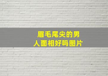 眉毛尾尖的男人面相好吗图片