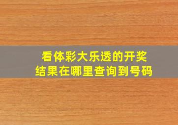 看体彩大乐透的开奖结果在哪里查询到号码