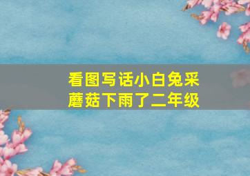 看图写话小白兔采蘑菇下雨了二年级