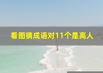 看图猜成语对11个是高人