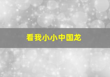 看我小小中国龙