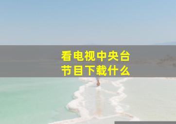 看电视中央台节目下载什么