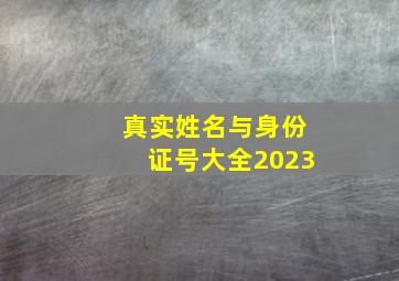 真实姓名与身份证号大全2023