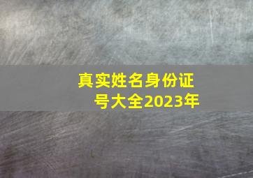 真实姓名身份证号大全2023年