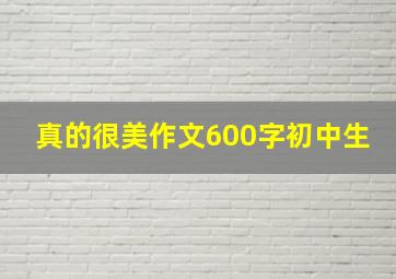 真的很美作文600字初中生