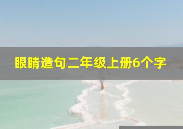 眼睛造句二年级上册6个字