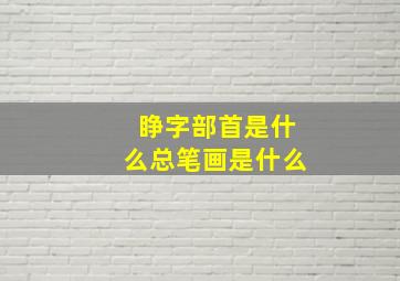 睁字部首是什么总笔画是什么