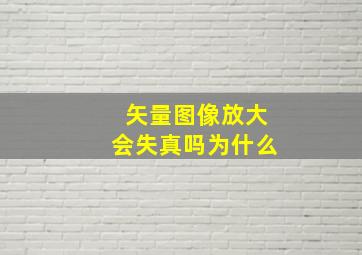 矢量图像放大会失真吗为什么