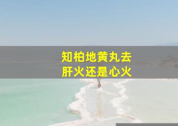 知柏地黄丸去肝火还是心火