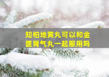 知柏地黄丸可以和金匮肾气丸一起服用吗