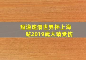 短道速滑世界杯上海站2019武大靖受伤